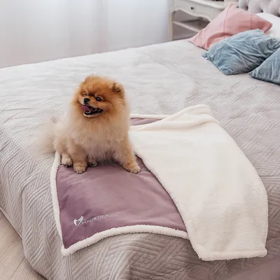 Матрас для собаки купить в Украине ᐉ Одеяла и подушки Haustier