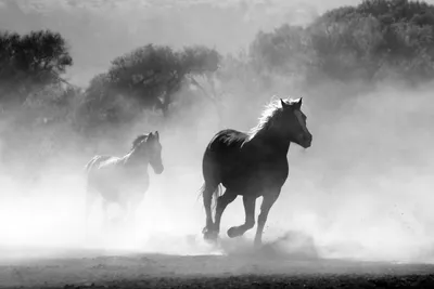 Ломовая лошадь» — создано в Шедевруме