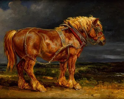 Голландская тяжеловозная, или ломовая лошадь. Сайт про зверей - ZveroSite.ru