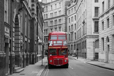 Картина по номерам Лондонский автобус (Brushme BS8246) купить недорого.