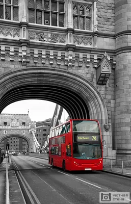 С улиц Лондона могут исчезнуть красные двухэтажные автобусы Routemaster -  ZIMA Magazine