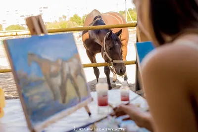 Раскраски лошадь анжела (48 фото) » Картинки, раскраски и трафареты для  всех - Klev.CLUB
