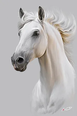 Портреты лошадей | Horses, Horse painting, Cross paintings