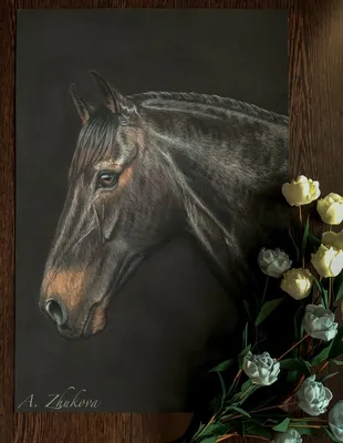 Бесплатное изображение: кавалерии, лошадь, портрет, Открытый, небо, трава,  коричневый