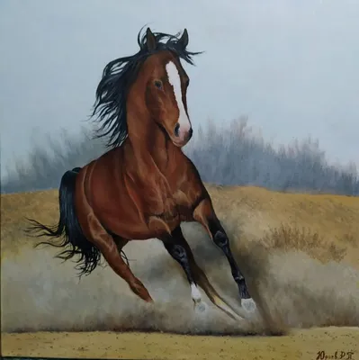 Картина портрет лошади. Размеры: 30x40, Год: 2019, Цена: 15000 рублей  Художник Новаков Петр Николаевич