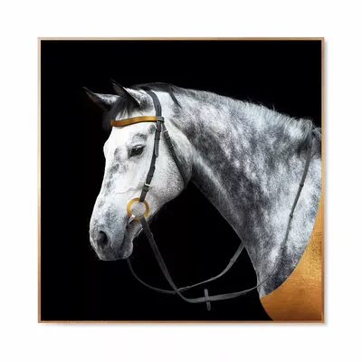 Интерьерная картина Фризская Лошадь с гривой 30*40 см - купить по низкой  цене в интернет-магазине OZON (678289099)
