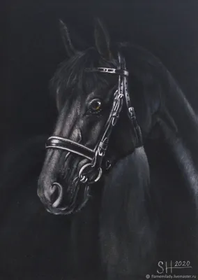 Купить живопись портрет лошади, картина конь СССР, советская картина купить  в подарок