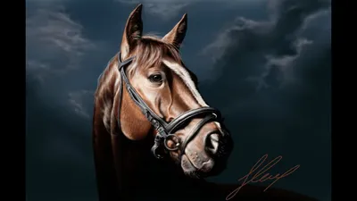 Картина на холсте интерьерная \"лошадь лошади красивые фотографии лошадей  черная животные\" 20x30 вертикально интерьерная картина в комнату на стену в  спальню - купить по низкой цене в интернет-магазине OZON (596607203)