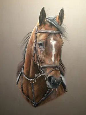 Портрет лошади — ВеснаАрт