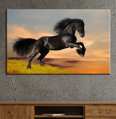 Картина Картина маслом \"Белая лошадь\" 60x90 JR211289 купить в Москве