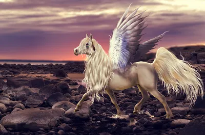 Картинки Пегас Лошади Крылья Фантастика Камни Волшебные животные