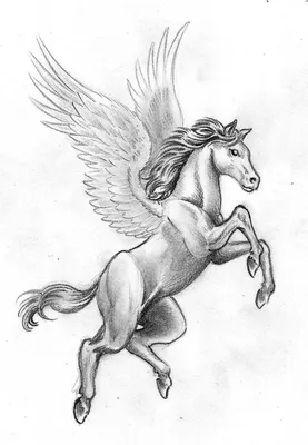 пегас лошадь Векторный объект Stock | Adobe Stock