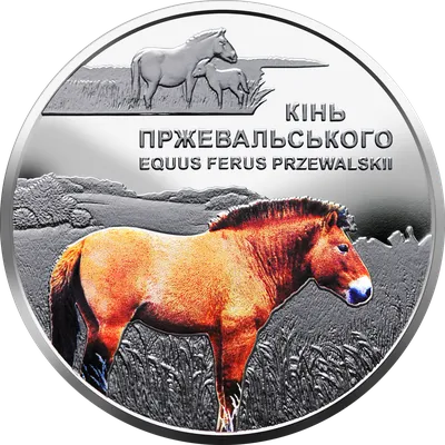 В московском зоопарке родился жеребенок краснокнижной лошади - Мослента