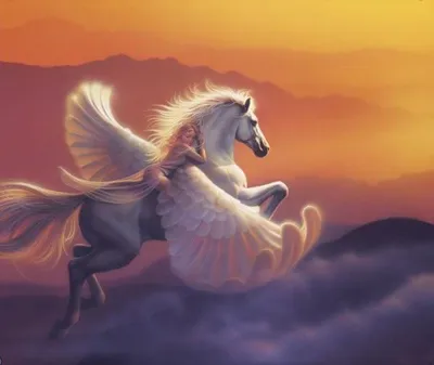 Картинки Пегас Лошади Крылья Фантастика Камни Волшебные животные