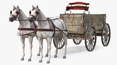 Конструктор Dolodom \"Лошадь с телегой\", 37 деталей - купить с доставкой по  выгодным ценам в интернет-магазине OZON (208137179)