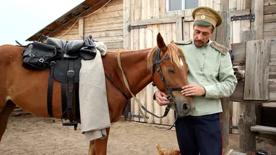 Купить охотничье седло для лошади - интернет-магазин «Полнолуние»