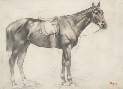 Конь под седлом привязан к березе…» — создано в Шедевруме