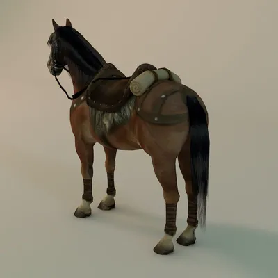 Как правильно сесть на лошадь - YouTube