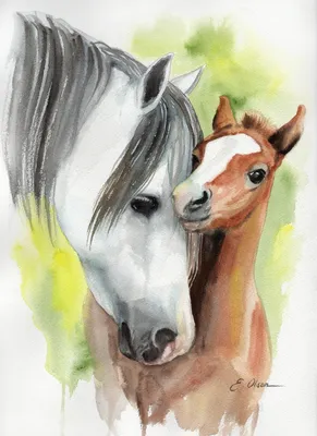 Лошадь с жеребенком» картина Храпковой Светланы (бумага, карандаш) — купить  на ArtNow.ru