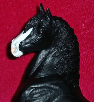 Породистые кони (32 фото) | Фризская лошадь, Черная лошадь, Андалузская  лошадь