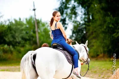 Лошадь Сзади Стоковые Фотографии | FreeImages