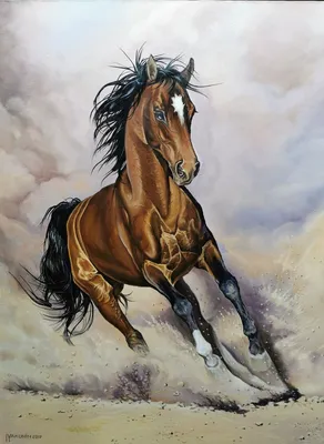 Лошадь с выбритым хвостом арт - 71 фото