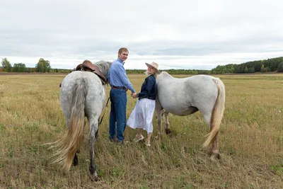 Вид сзади людей верхом на лошадях и зеленом поле · Бесплатные стоковые фото