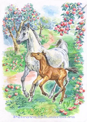 Все, что нужно знать о лошадях в яблоках | ЛОШАДИ | Дзен