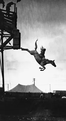 Гонки, скачки и прыжки через барьеры и огонь: фоторепортаж с Дня лошади