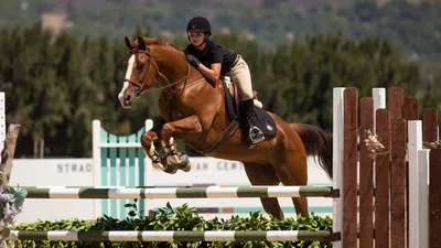 Лучшее развлечение Дикого Запада — прыжки в воду на лошадях