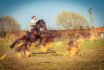 Новости конного спорта Maxima Equisport