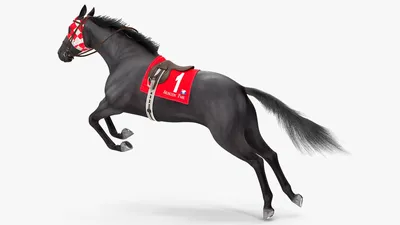 Прыжок Коричневогобей Лошадь — стоковые фотографии и другие картинки Лошадь  - Лошадь, Прыгать, Хвост - iStock