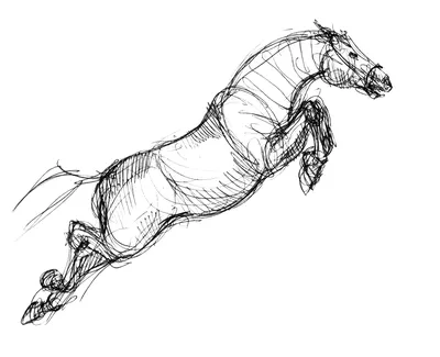 Показать Прыжки Лошадь С Всадником Проходящим Через Препятствие — стоковые  фотографии и другие картинки Конкур - iStock
