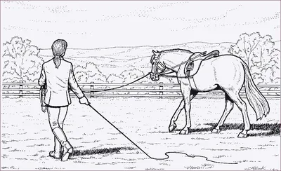 Прогулки и катания на санях в упряжке лошадей - аренда саней с лошадьми