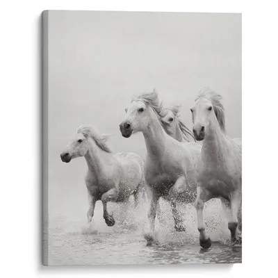 Белый мустанг лошадь - картинки и фото poknok.art