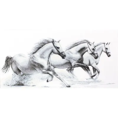 Три белые лошади на сарае · Бесплатные стоковые фото