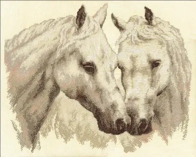 Хосе Мануэль Гомес - Белые лошади: Описание произведения | Артхив