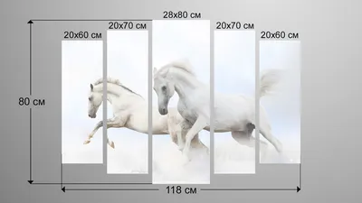 голова белой лошади Stock Photo | Adobe Stock