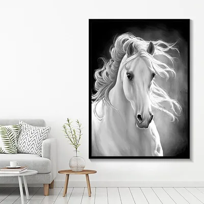 Бесплатное изображение: лошади, белый, празднование, перевозки, ремень  безопасности, лошадь, Жеребец, животное, ферма, руководитель
