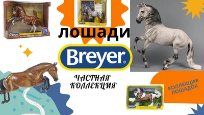 Каталог лошадей Бреер
