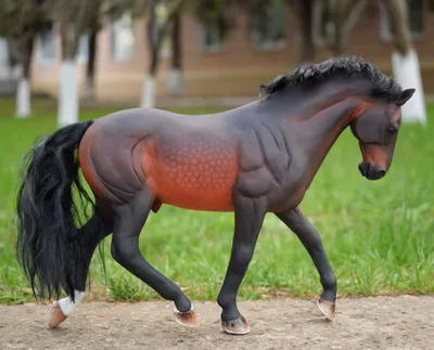 Жеребец арабский конь жеребенок брейер Animal Creations модель лошади,  другие, лошадь, разное png | PNGEgg