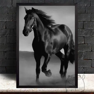 коричневая лошадь с длинной гривой в траве смотрит, красивая тростниковая  лошадь, Hd фотография фото, тростник фон картинки и Фото для бесплатной  загрузки