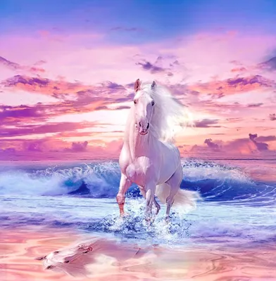 Фотообои Белая лошадь и море купить на Стену — Цены и 3D Фото интерьеров в  Каталоге интернет магазина allstick.ru