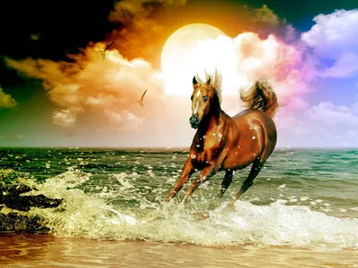 Девушка и лошадь на фоне Каспийского море - YouTube