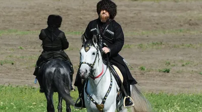 Почитатель из Германии подарил Кадырову коня | Общество | Аргументы и Факты