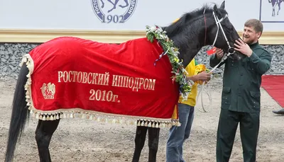 Чешские власти сообщили о краже лошади Рамзана Кадырова