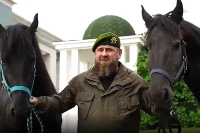 Кадыров оценил своего украденного в Чехии коня минимум в $10 млн — РБК