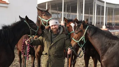 Кадыров не заплатил украинским спецслужбам за возвращение своего коня Зазу  | ДЕНЬГИ: Личные деньги | ДЕНЬГИ | АиФ Ставрополь