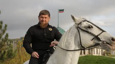 История дрессировщицы из Кузбасса, которая продала коня Рамзану Кадырову -  4 января 2024 - НГС.ру