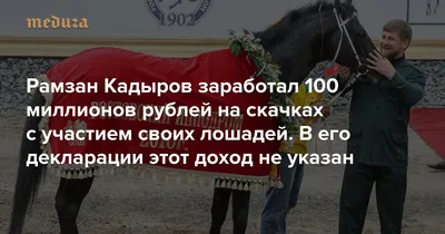 Лошадиная сила.Как жеребцы Рамзана Кадырова зарабатывают миллионы рублей?